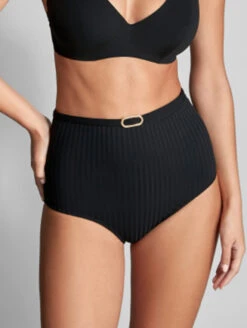 Empreinte Iconic High Waist Bikini Brief